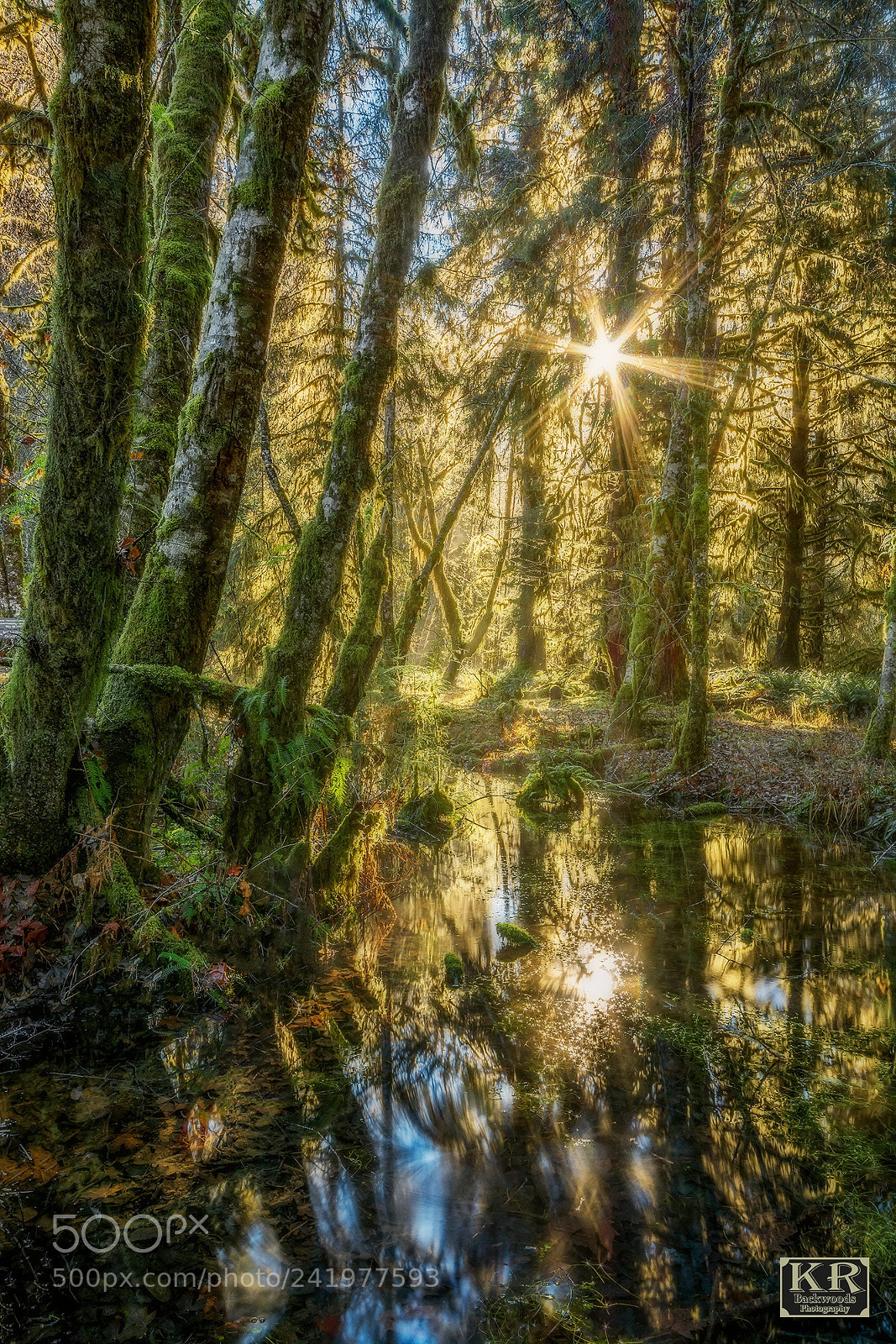 Nikon D7100 sample photo. Let your light shine photography