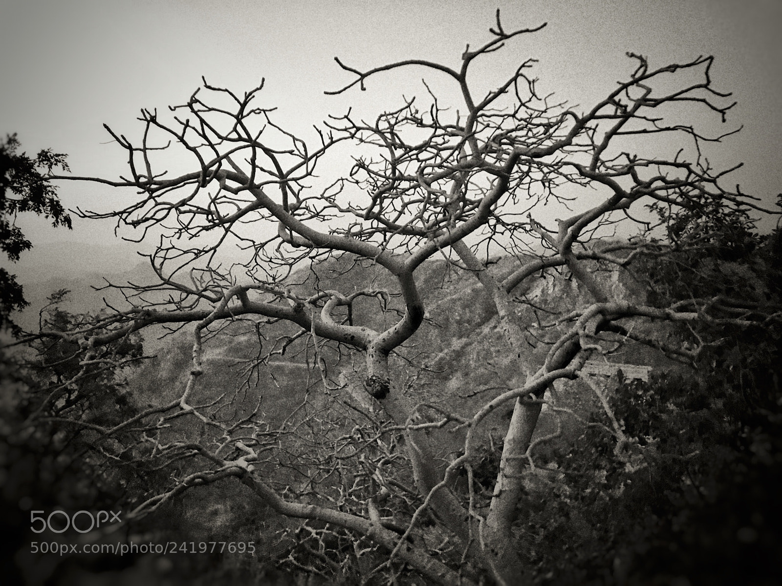 Apple iPhone 7 sample photo. Atop the sajjangarh fort photography