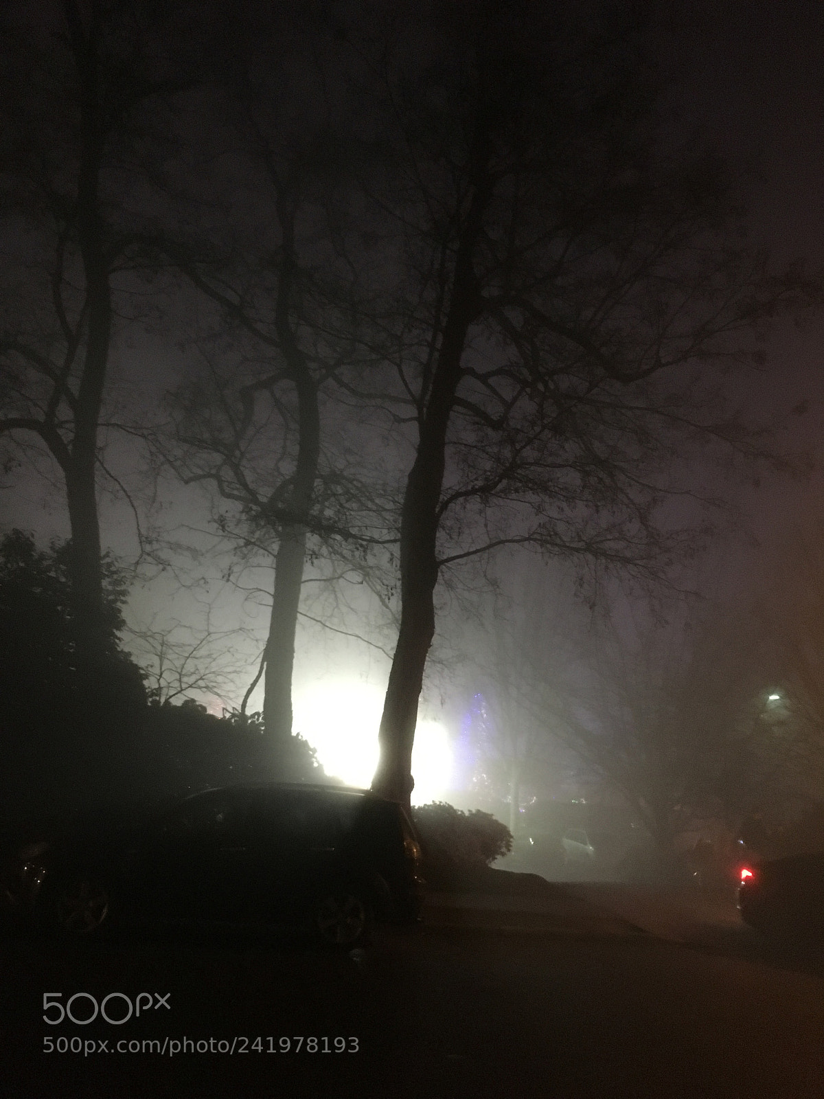 Apple iPhone 6s sample photo. A foggy evening in photography