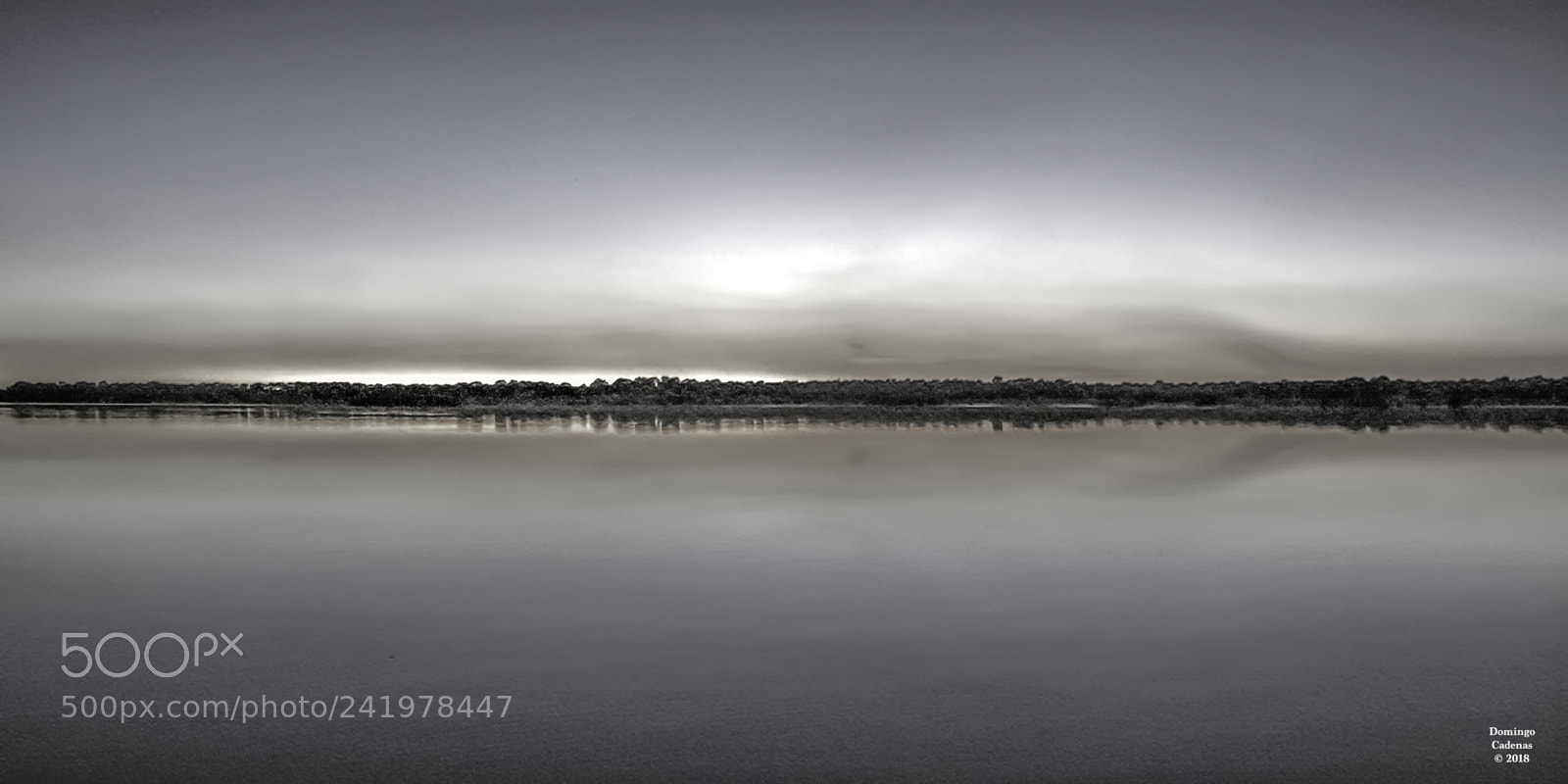 Nikon D7100 sample photo. Doñana photography