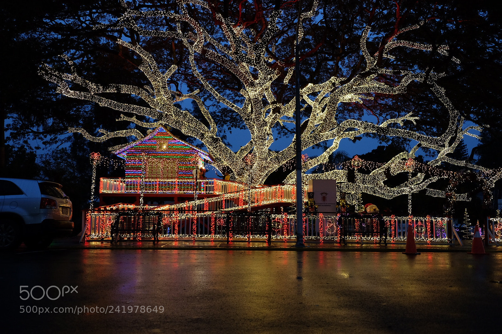 Fujifilm X-T1 sample photo. Christmas treehouse photography