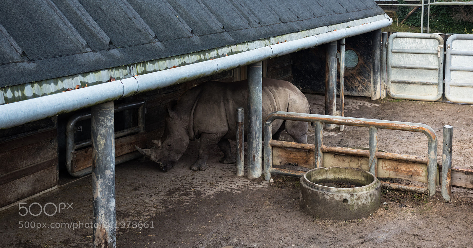 Nikon D810 sample photo. Zoo photography