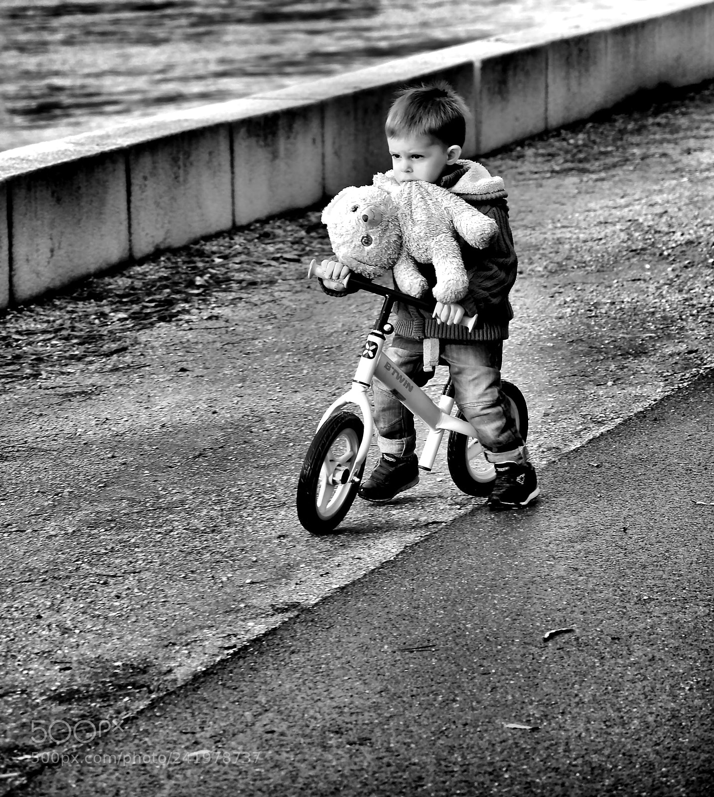 Nikon D300S sample photo. Balade à 2 photography