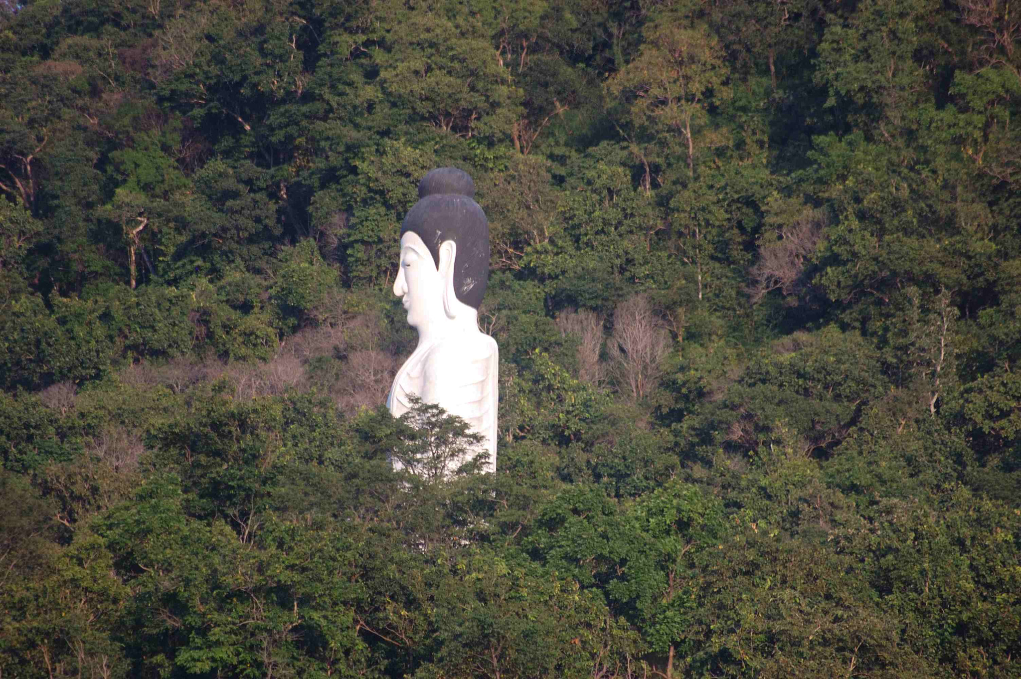 Sigma 70-300mm F4-5.6 APO DG Macro sample photo