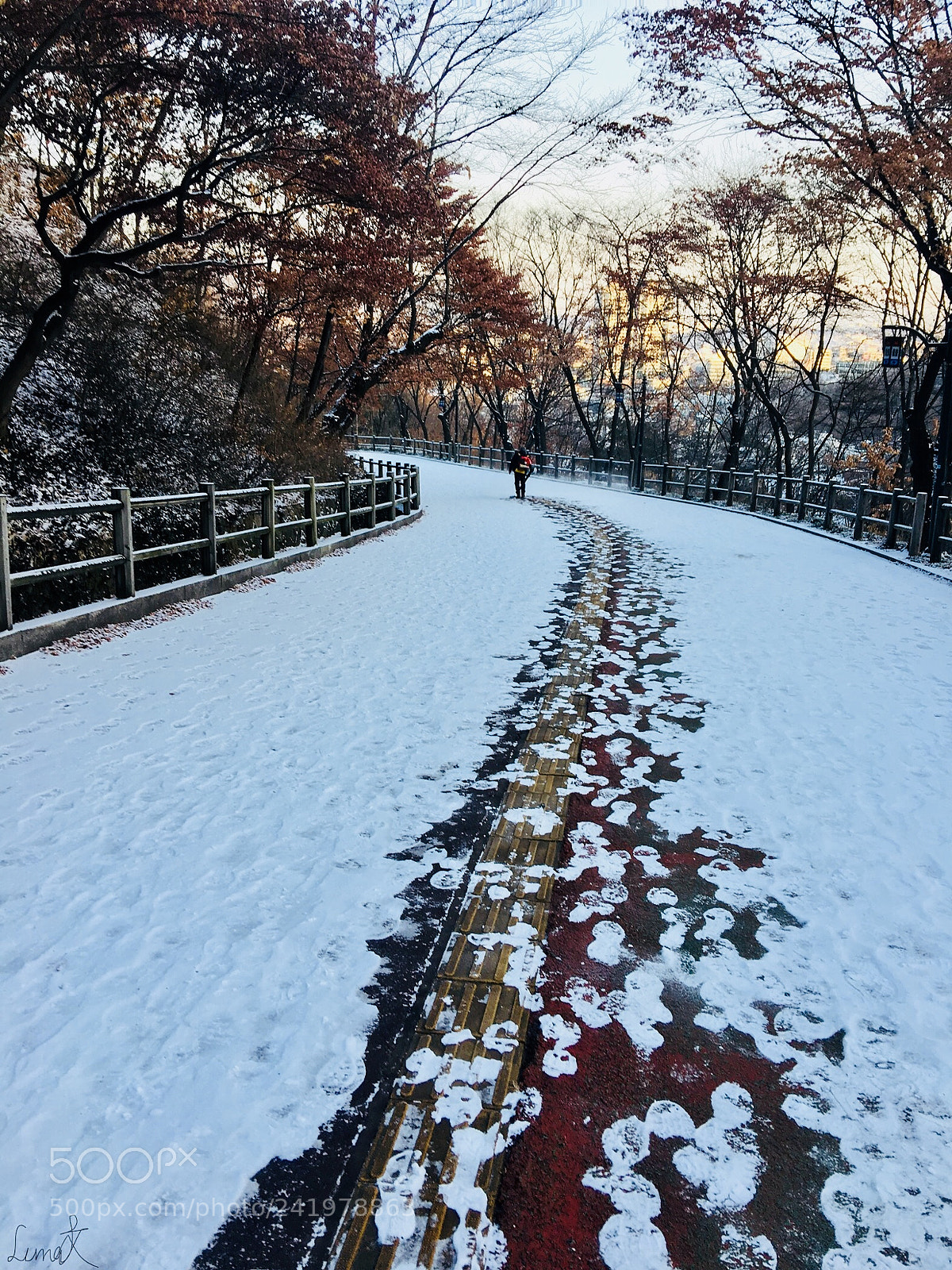 Apple iPhone 6s Plus sample photo. Winter snowy morning photography