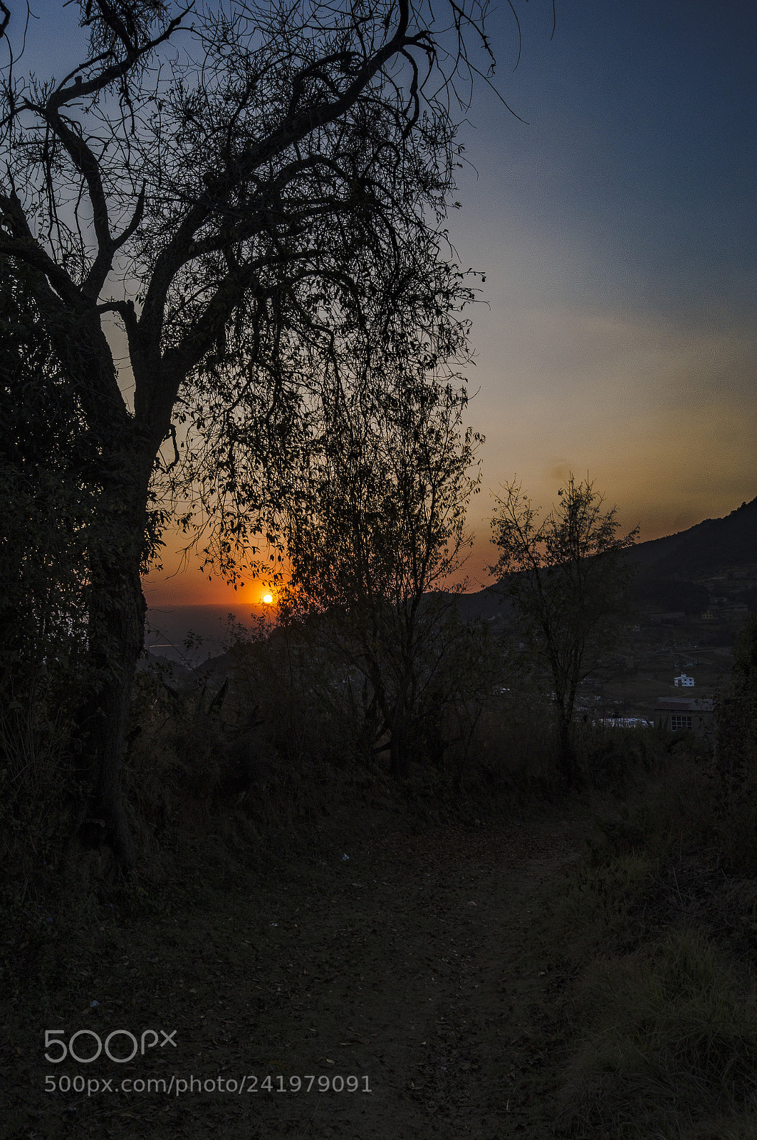 Sony SLT-A37 sample photo. Camino photography