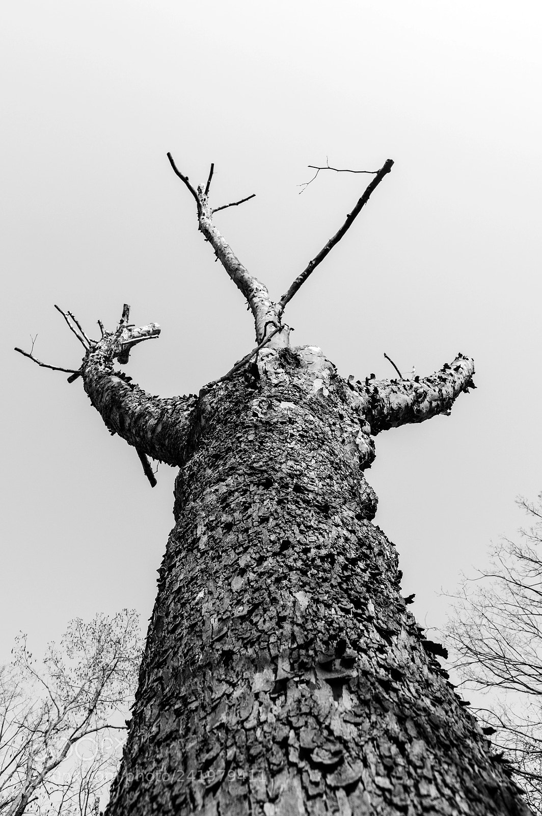 Pentax K-3 sample photo. Coexistence photography