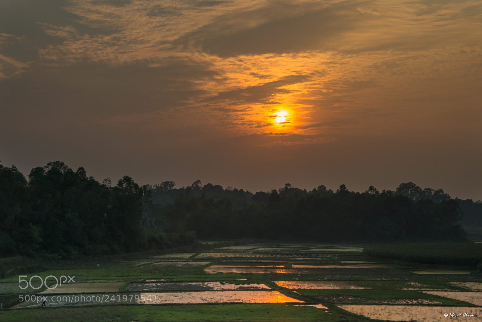 Nikon D800 sample photo. Vietnam rice paddles at photography