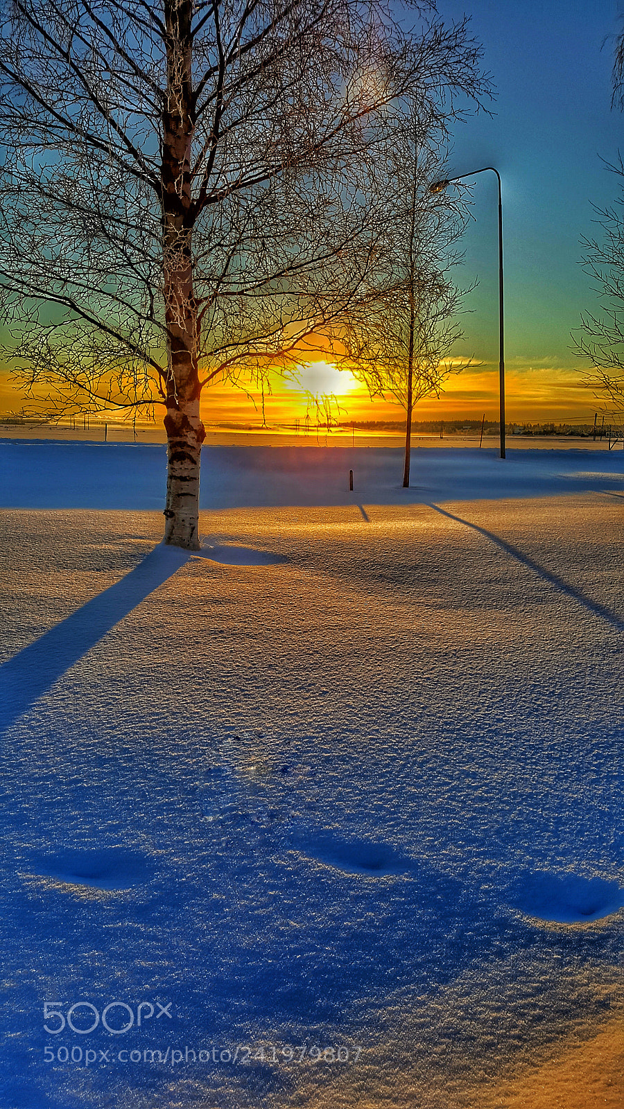 Samsung Galaxy S6 sample photo. Winter photography