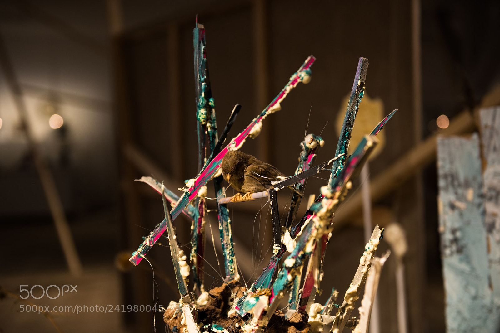 Nikon D810 sample photo. Trt photography
