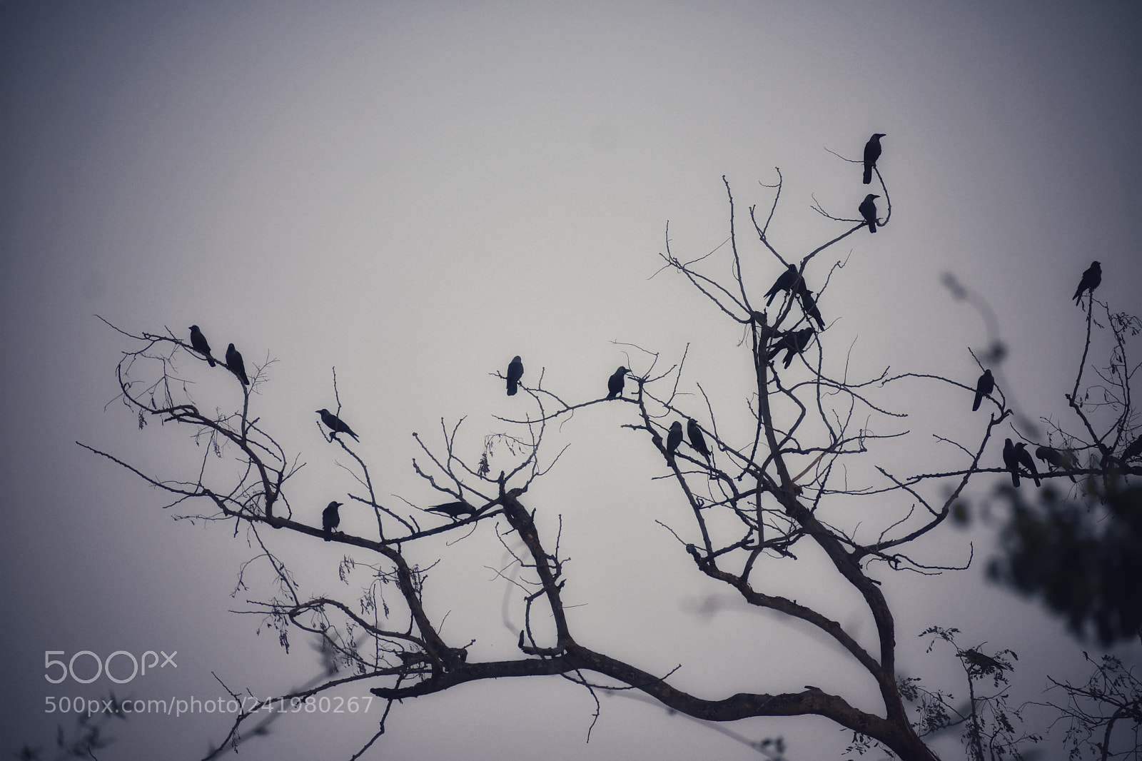 Nikon D3400 sample photo. Faded glow photography