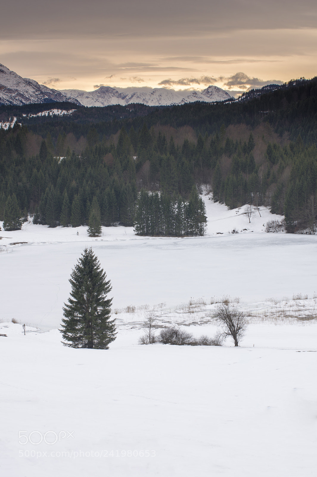 Pentax K-3 sample photo. Winter photography