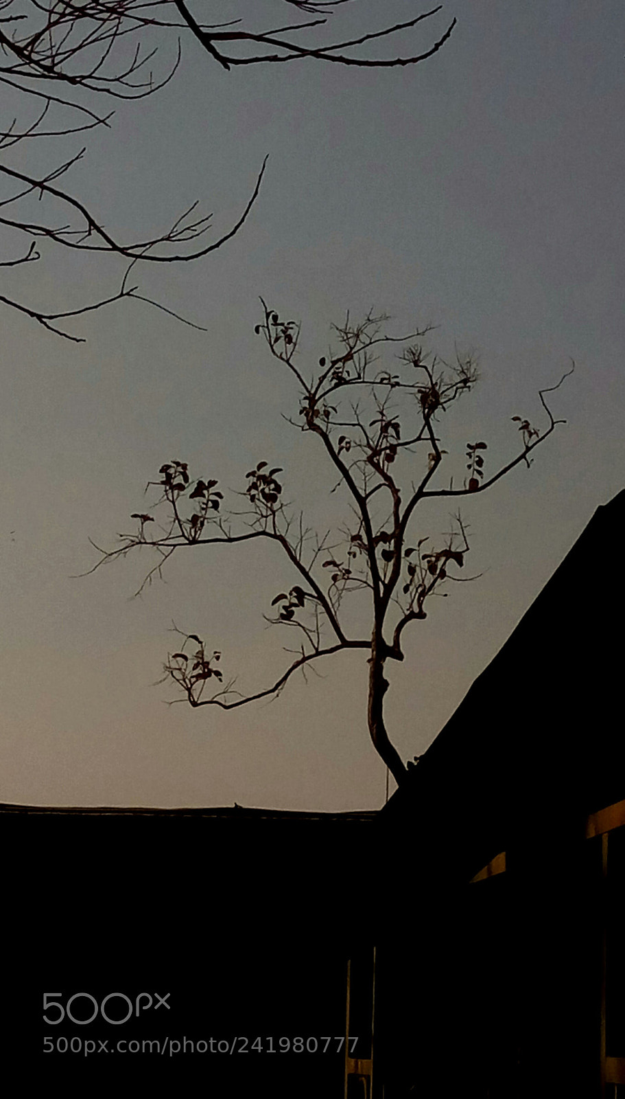 HTC D728X sample photo. Untitled photography