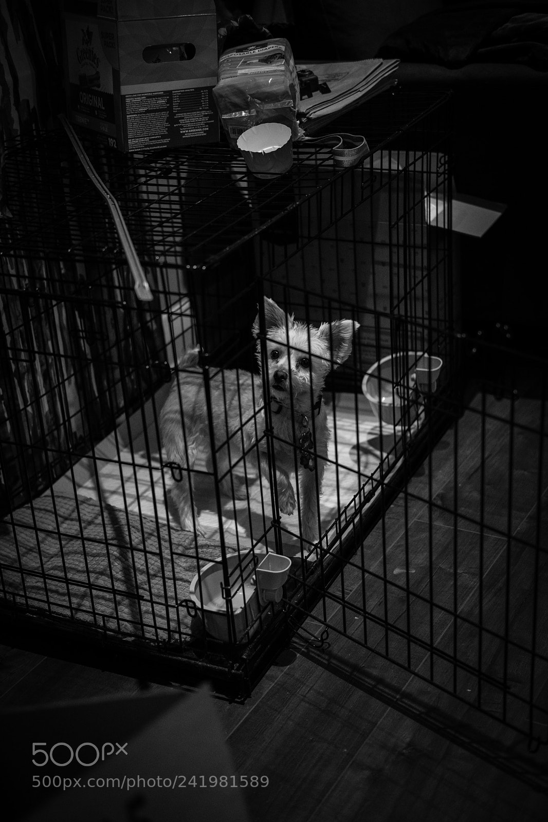 Fujifilm X-T2 sample photo. Lets play photography