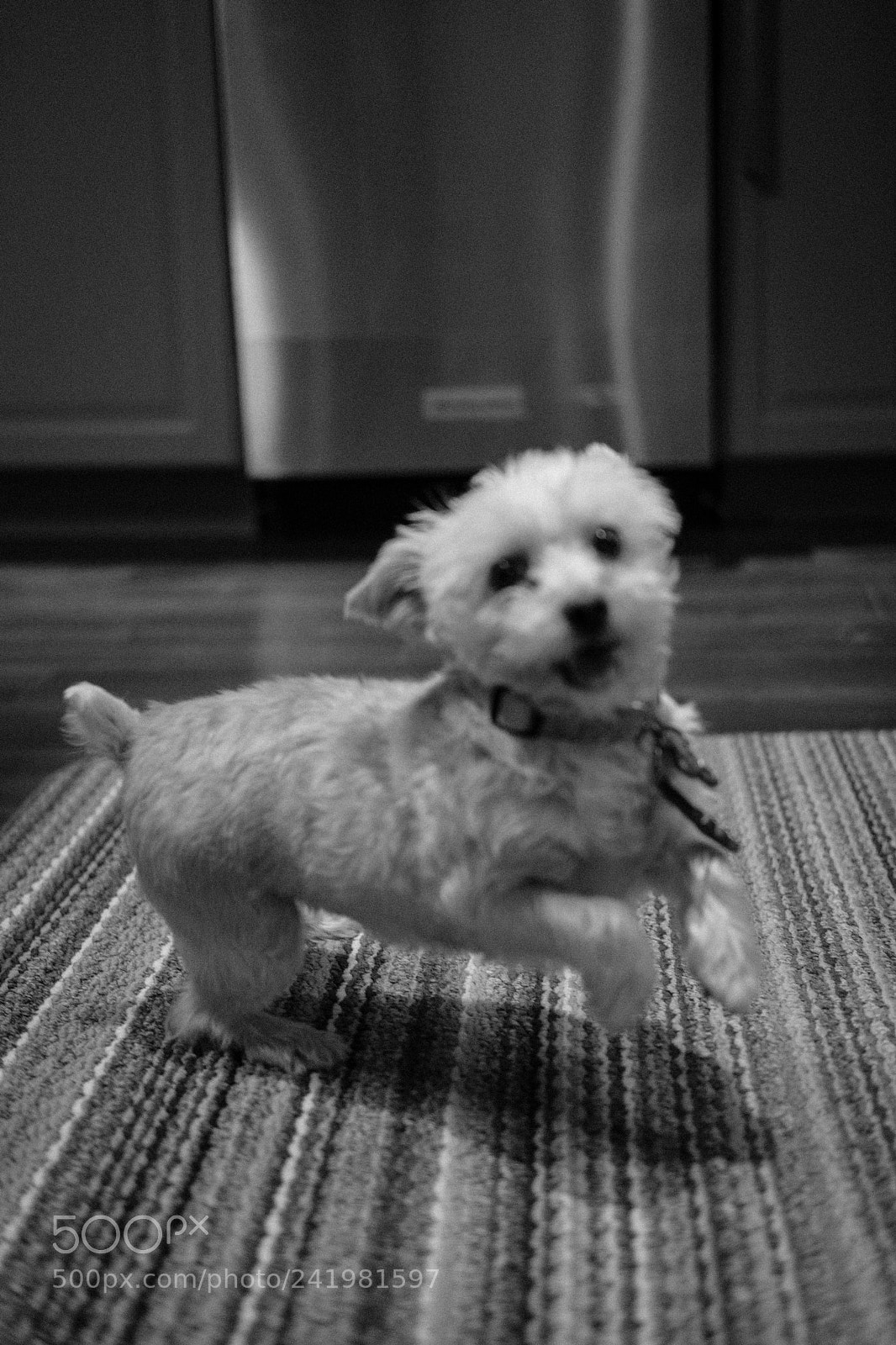 Fujifilm X-T2 sample photo. Lets play photography