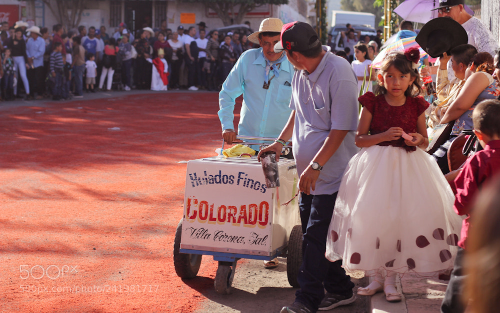 Canon EOS 60D sample photo. Street. méxico photography