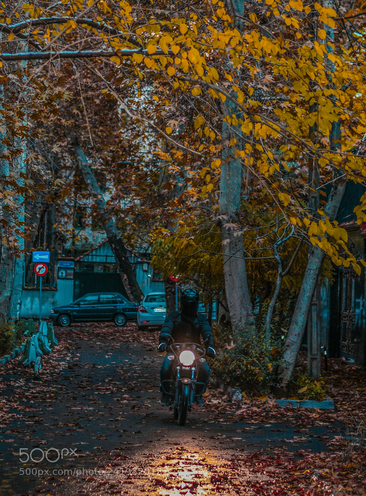 Nikon D7200 sample photo. Untitled photography