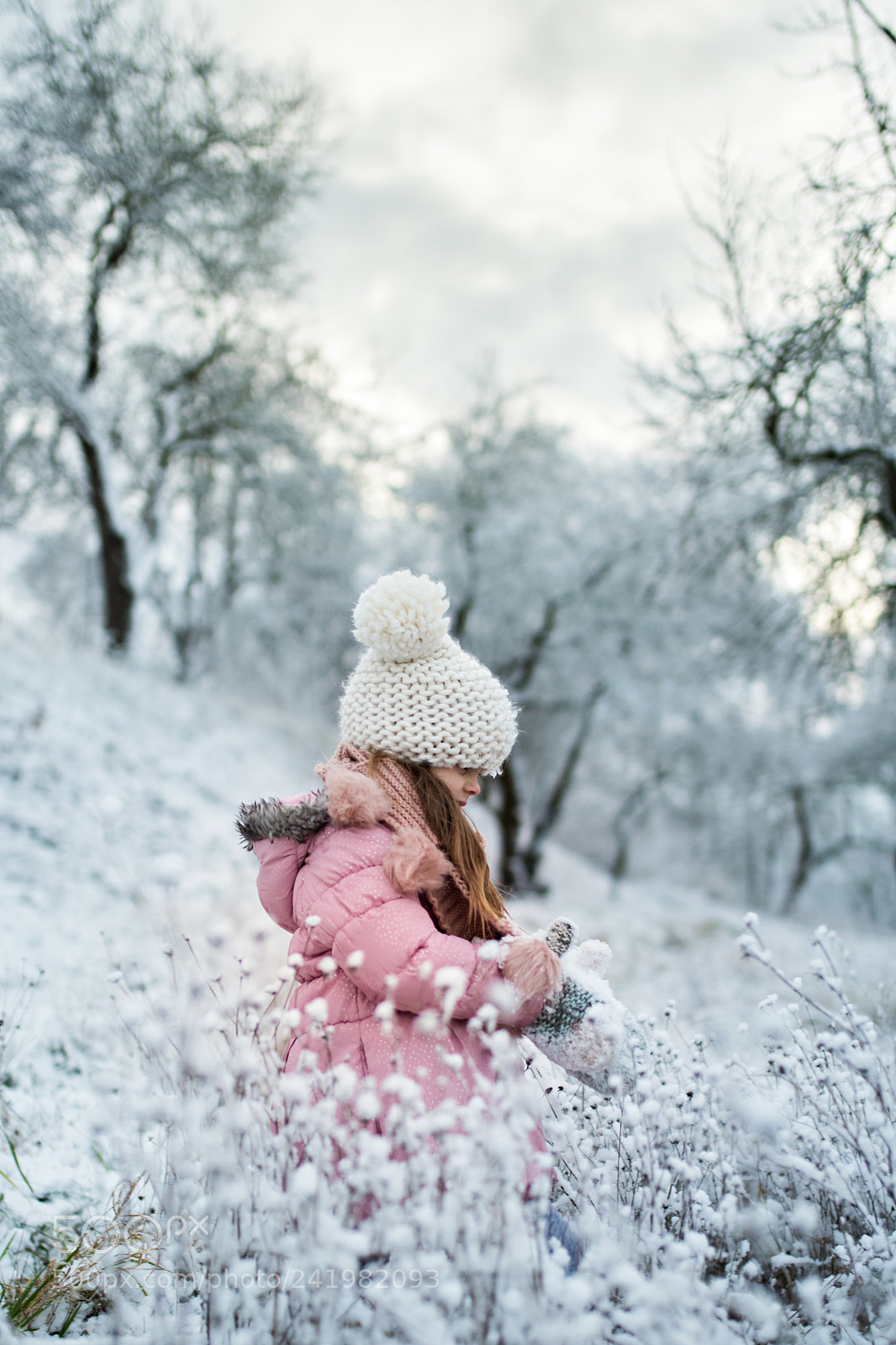 Nikon D810 sample photo. Winter holiday photography