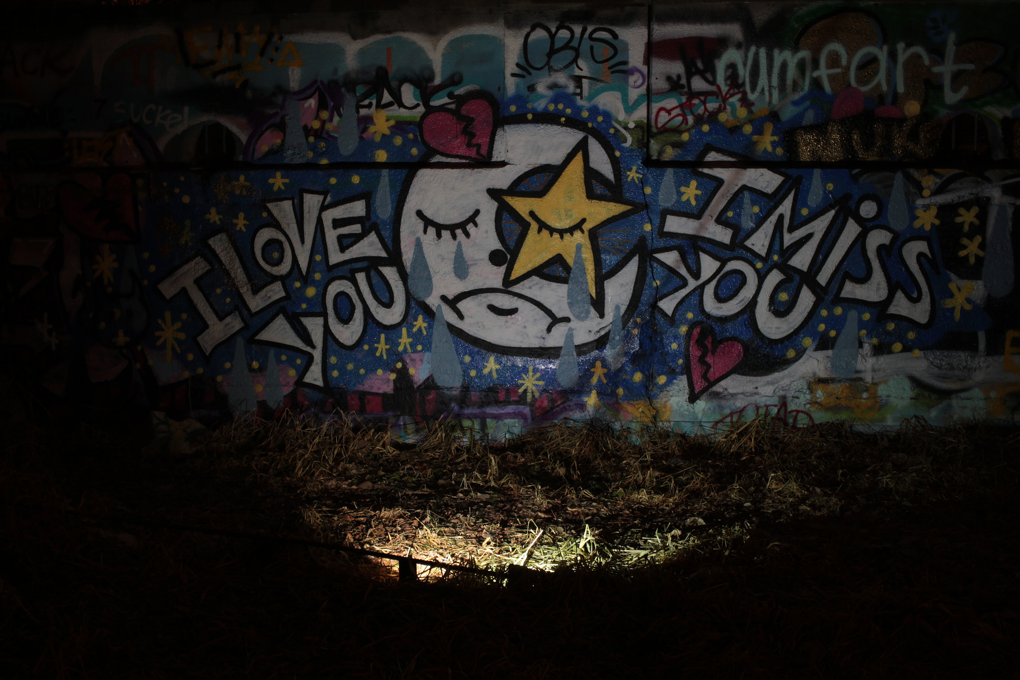 Canon EF-S 24mm F2.8 STM sample photo. I love you, i miss you photography