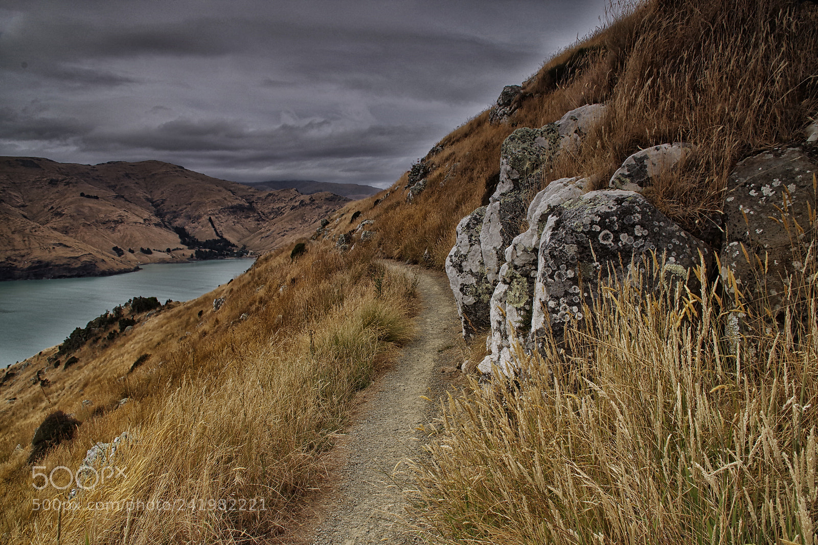 Pentax K-S2 sample photo. Lyttelton harbour walkway photography