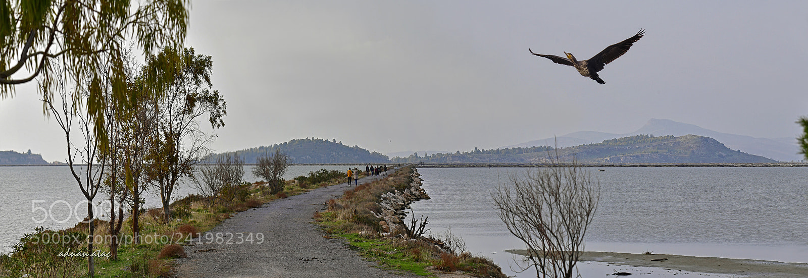 Nikon D5 sample photo. Gediz deltas ve karabatak photography