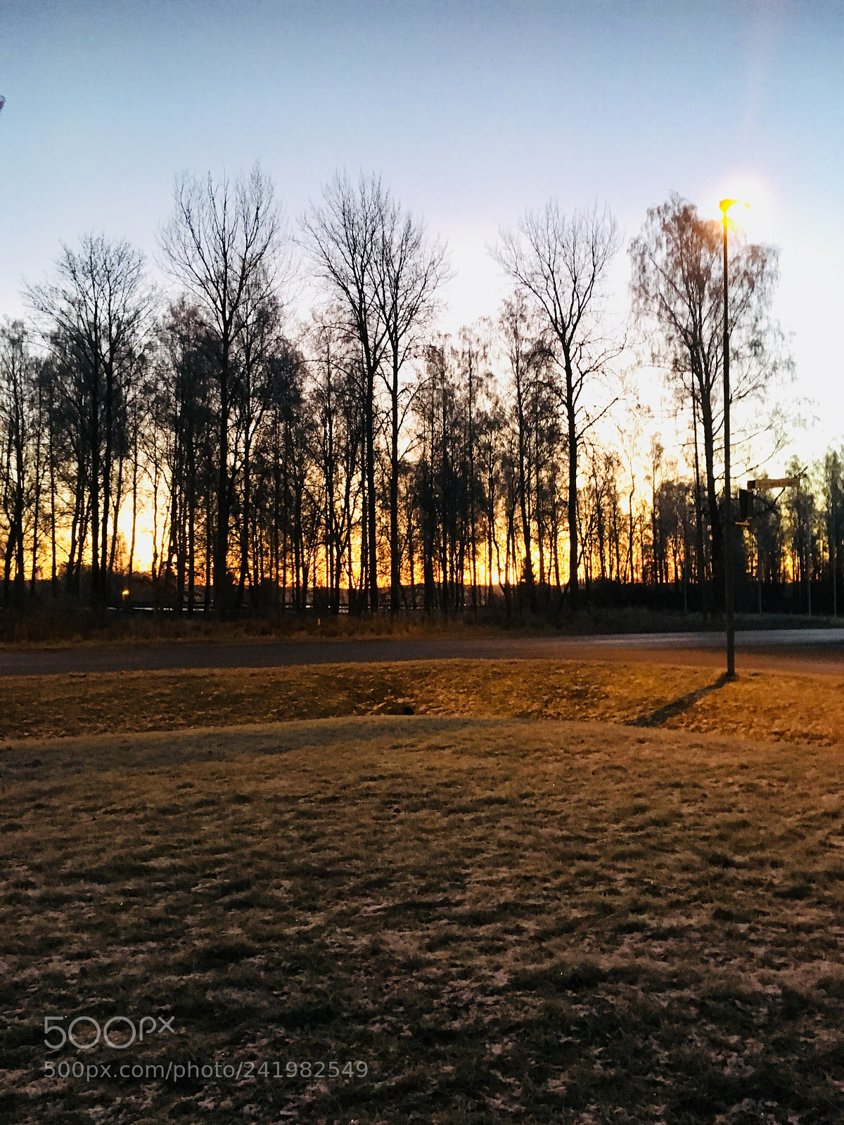 Apple iPhone 6s sample photo. Morning photography