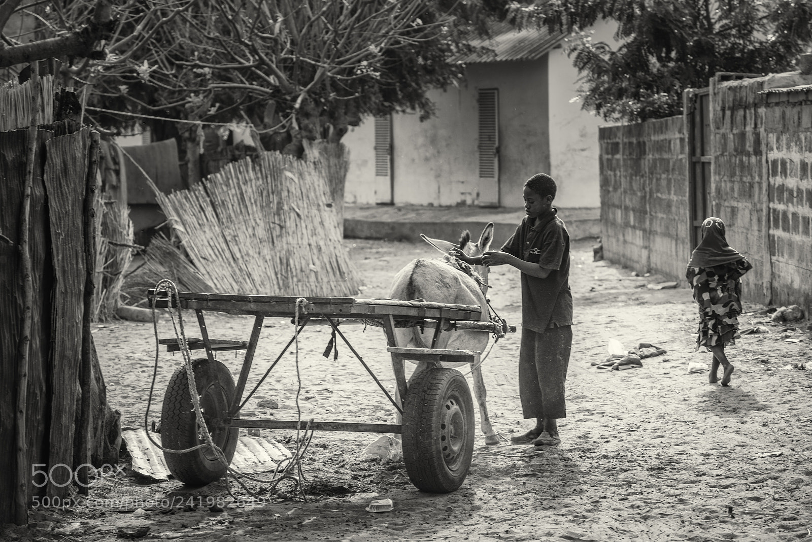 Nikon D800 sample photo. Boy and donkey photography