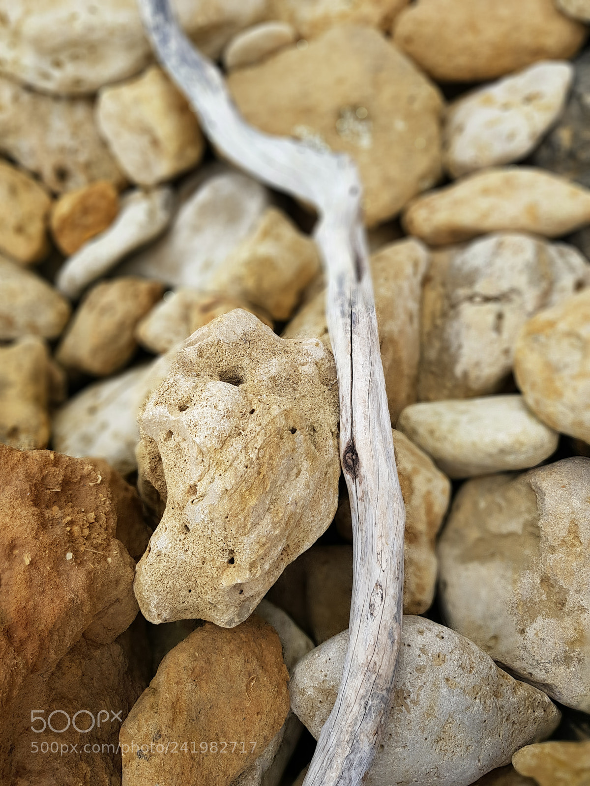 Samsung Galaxy S8+ sample photo. Driftwood at bells beach photography