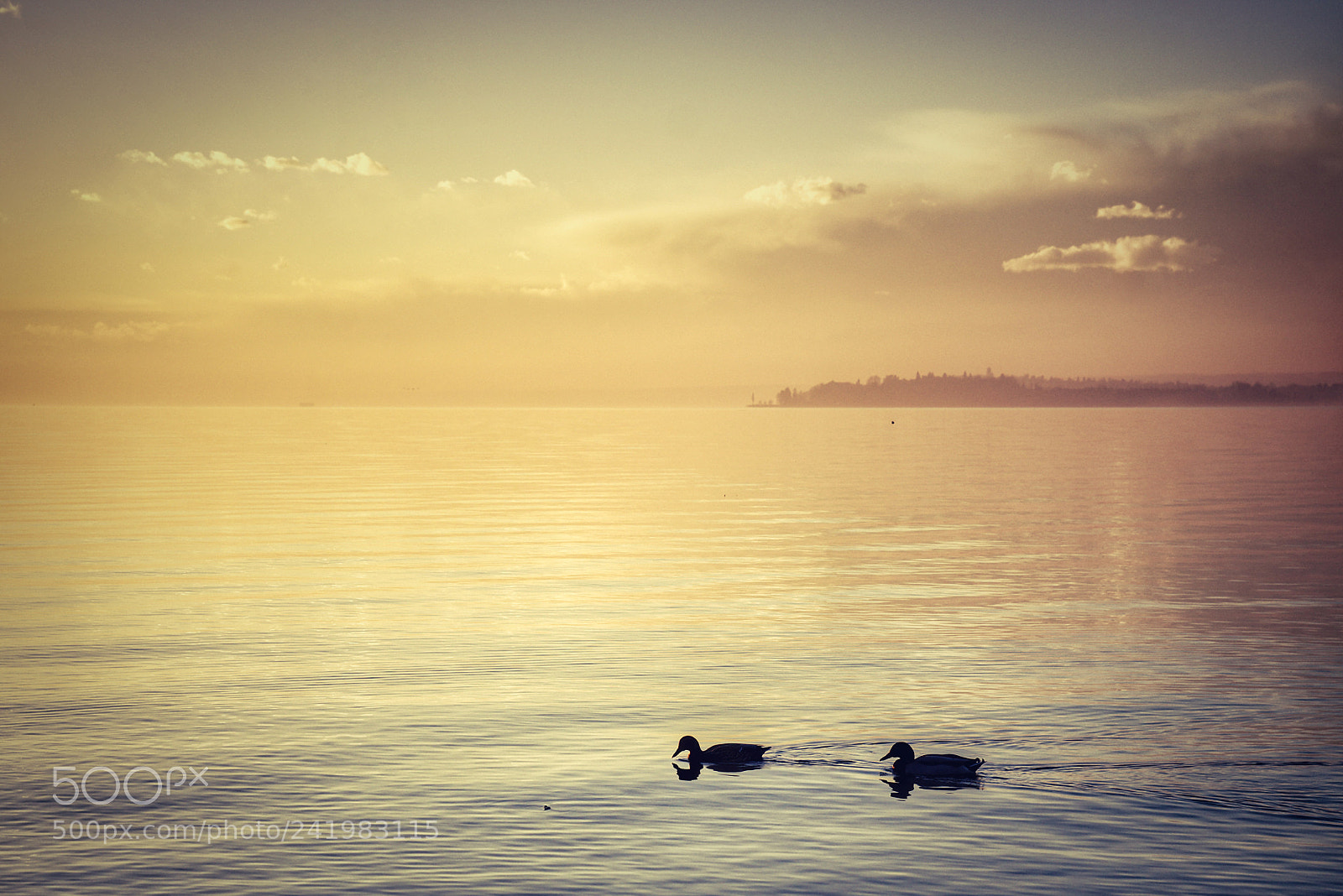Sony SLT-A77 sample photo. Lake moods photography