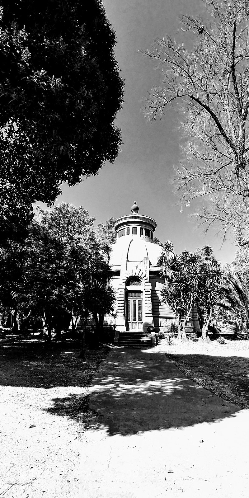 LG G6 sample photo. Chapultepec photography