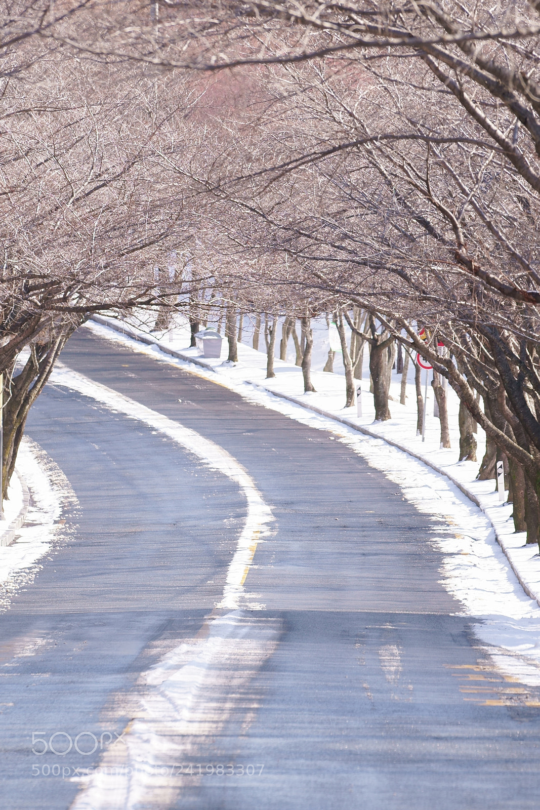 Sony a7 II sample photo. Snow photography