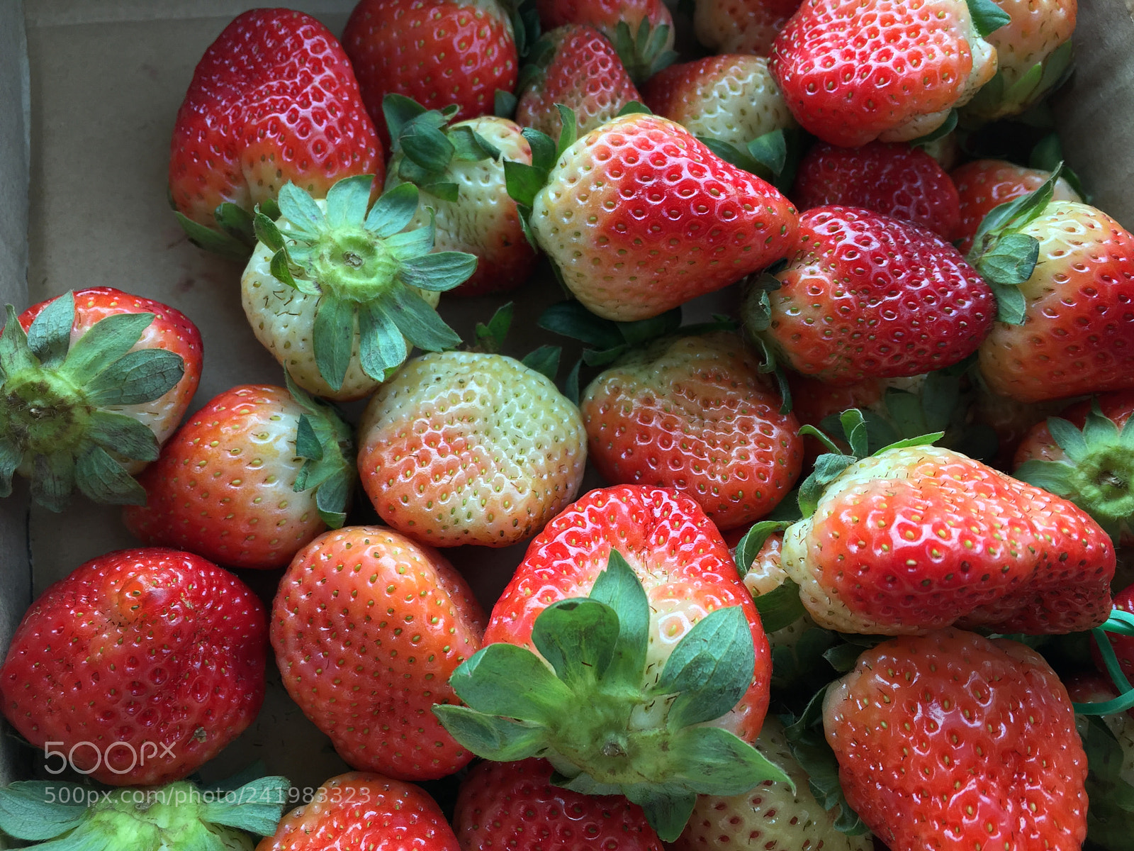 Apple iPhone 6 sample photo. Straberry photography