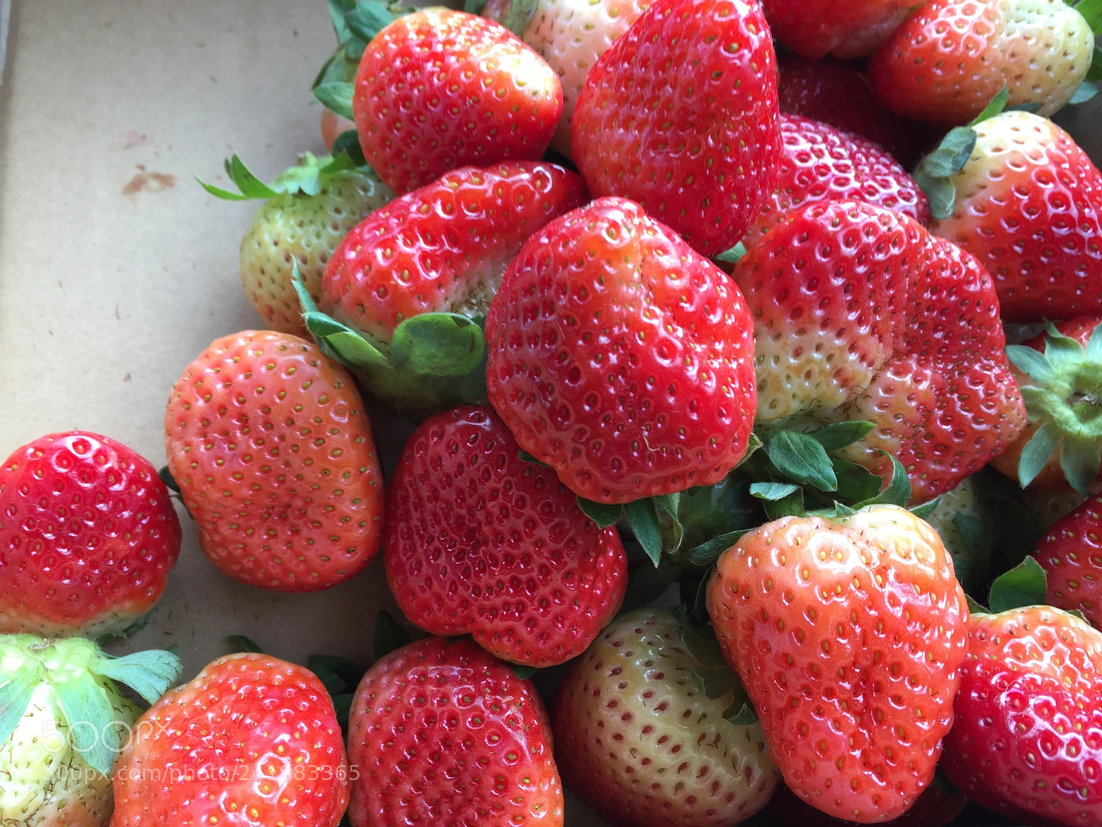 Apple iPhone 6 sample photo. Strawberry photography