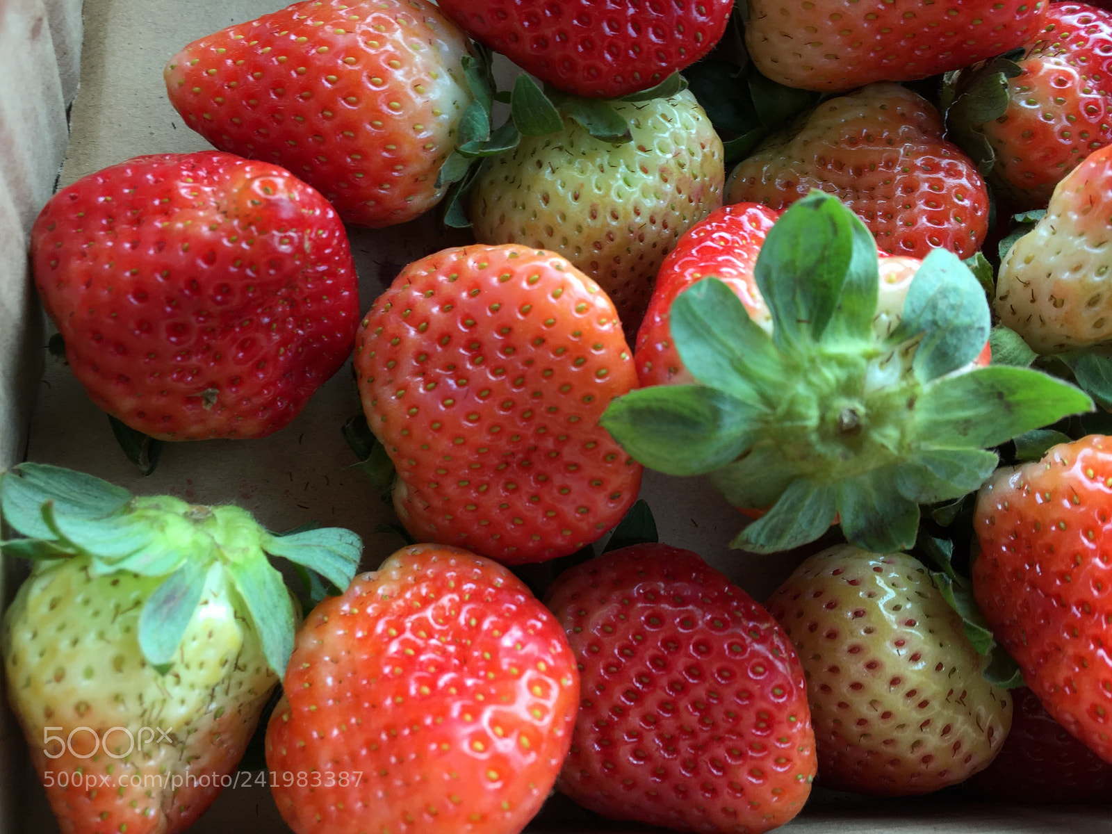 Apple iPhone 6 sample photo. Strawberry photography