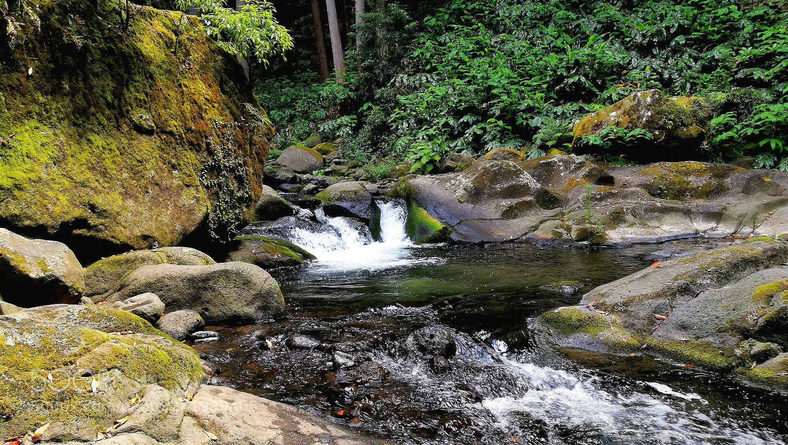 HUAWEI Honor 8 sample photo. Stream photography