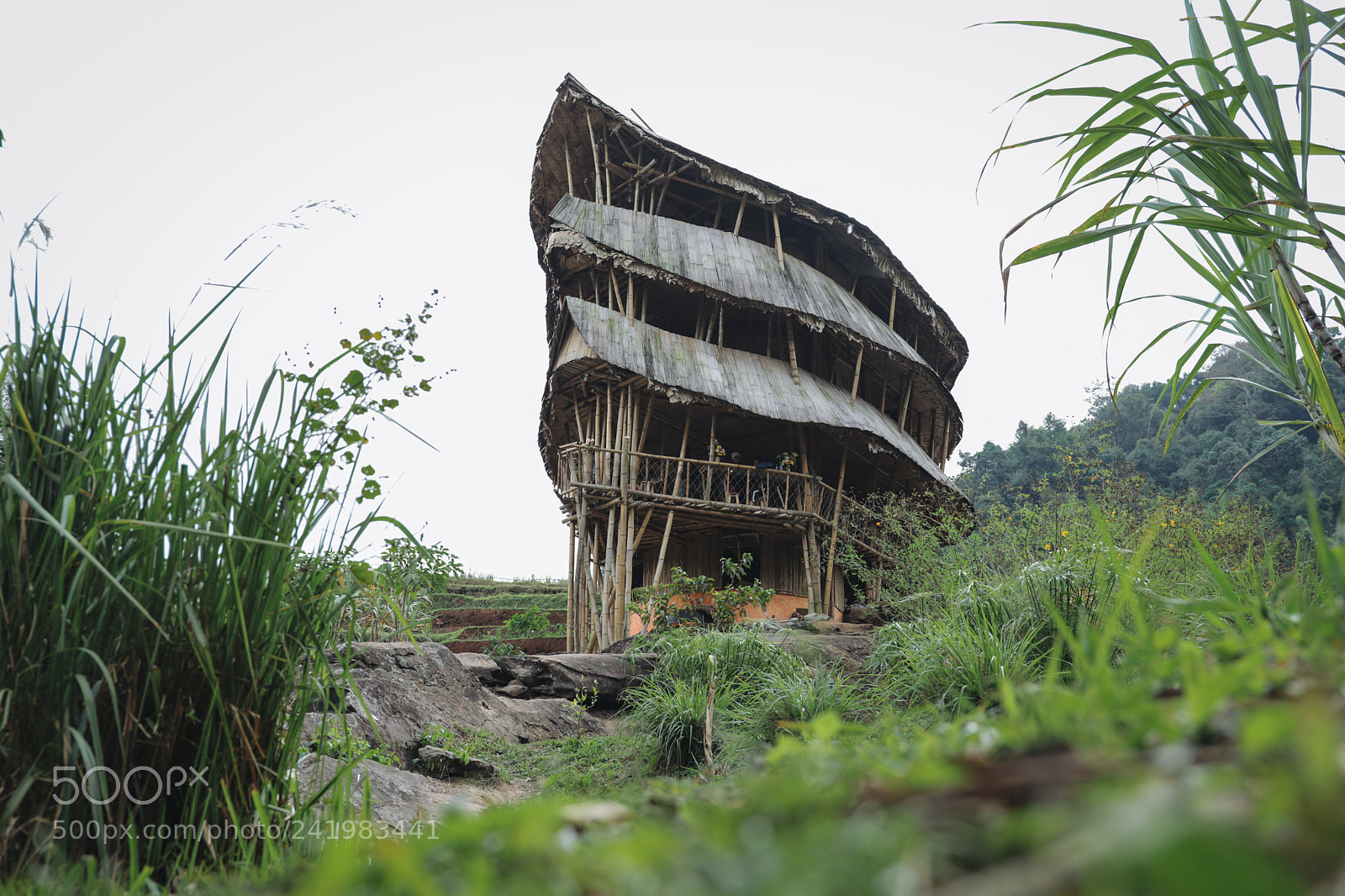 Canon EOS 6D Mark II sample photo. Giant bamboo house in photography