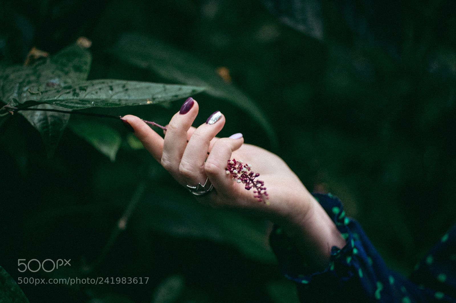 Pentax K-3 sample photo. Untitled photography