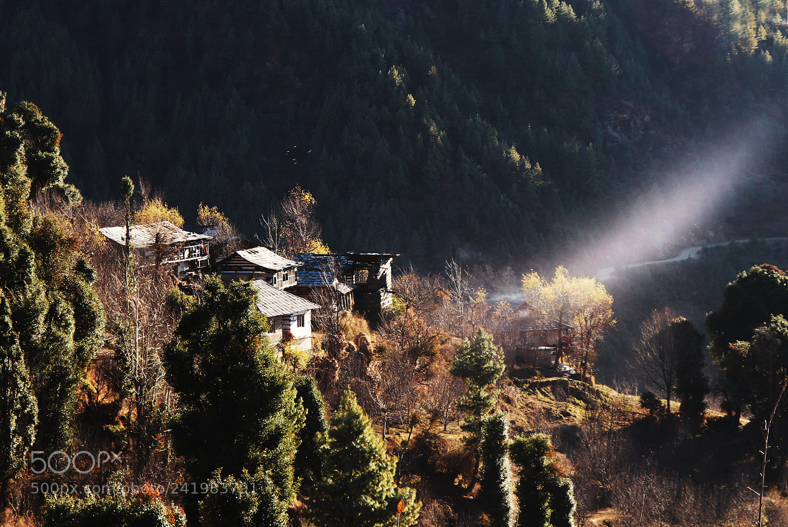 Canon EOS 77D (EOS 9000D / EOS 770D) sample photo. Img photography
