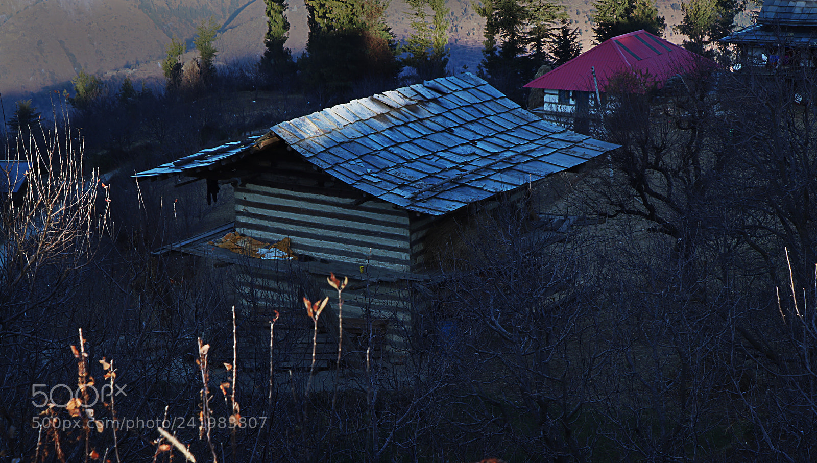 Canon EOS 77D (EOS 9000D / EOS 770D) sample photo. Img photography