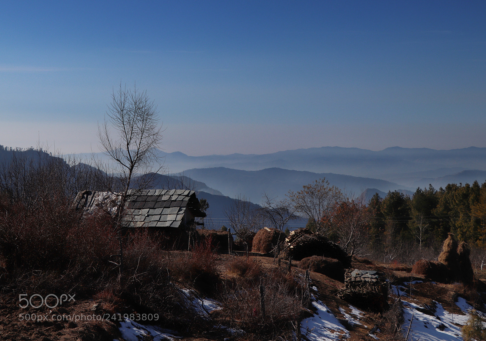 Canon EOS 77D (EOS 9000D / EOS 770D) sample photo. Img photography