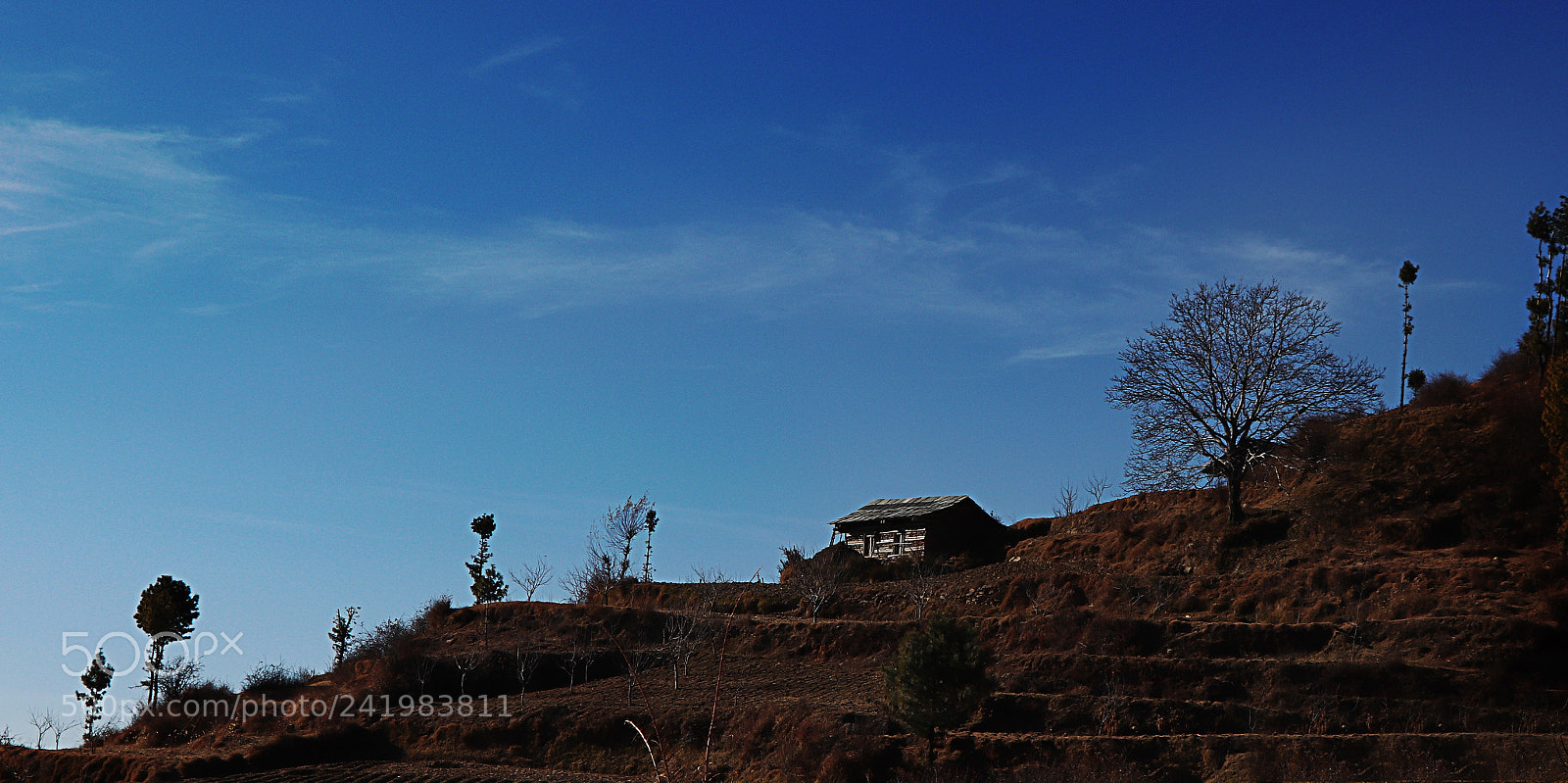 Canon EOS 77D (EOS 9000D / EOS 770D) sample photo. Img photography