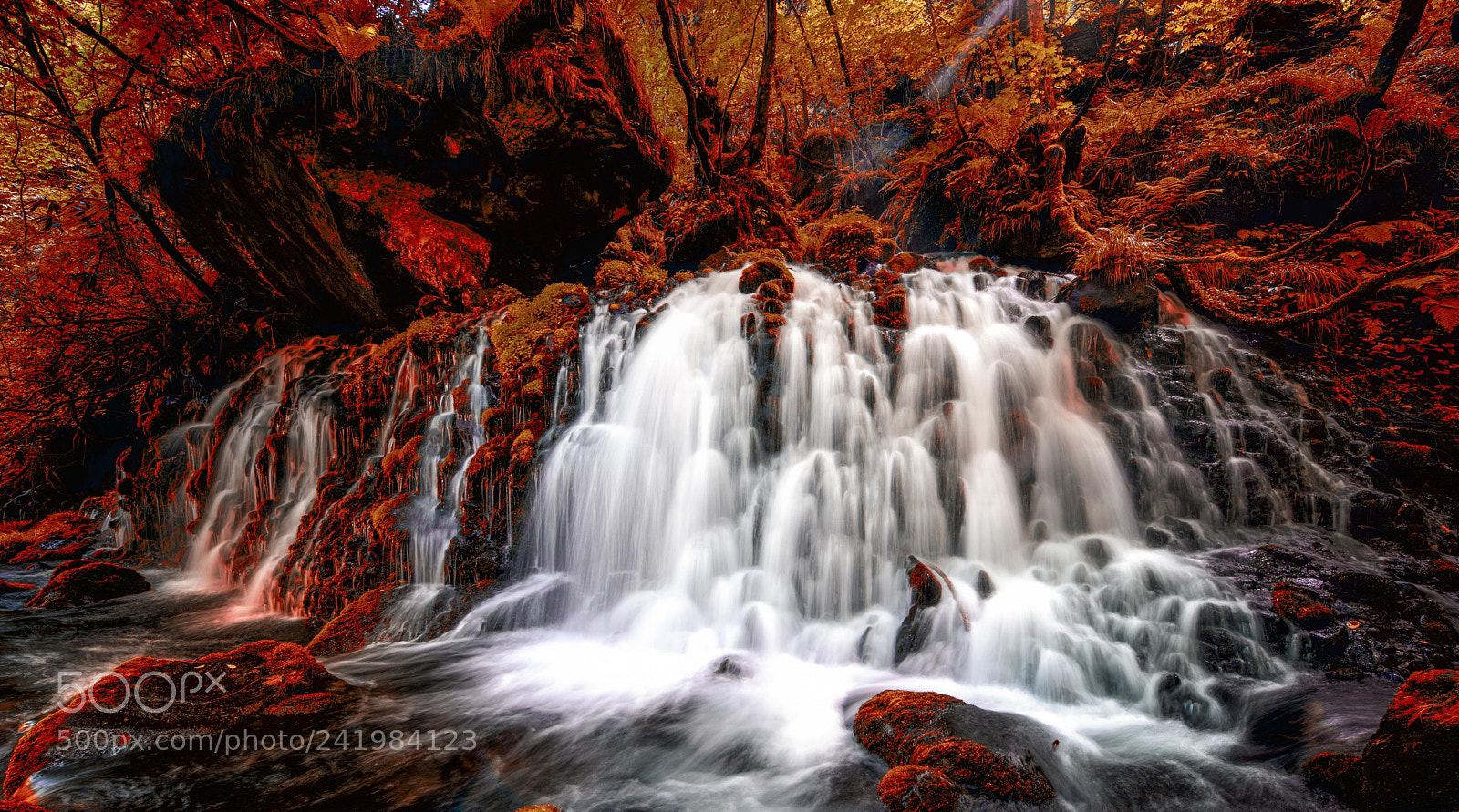 Nikon D800E sample photo. Hell photography