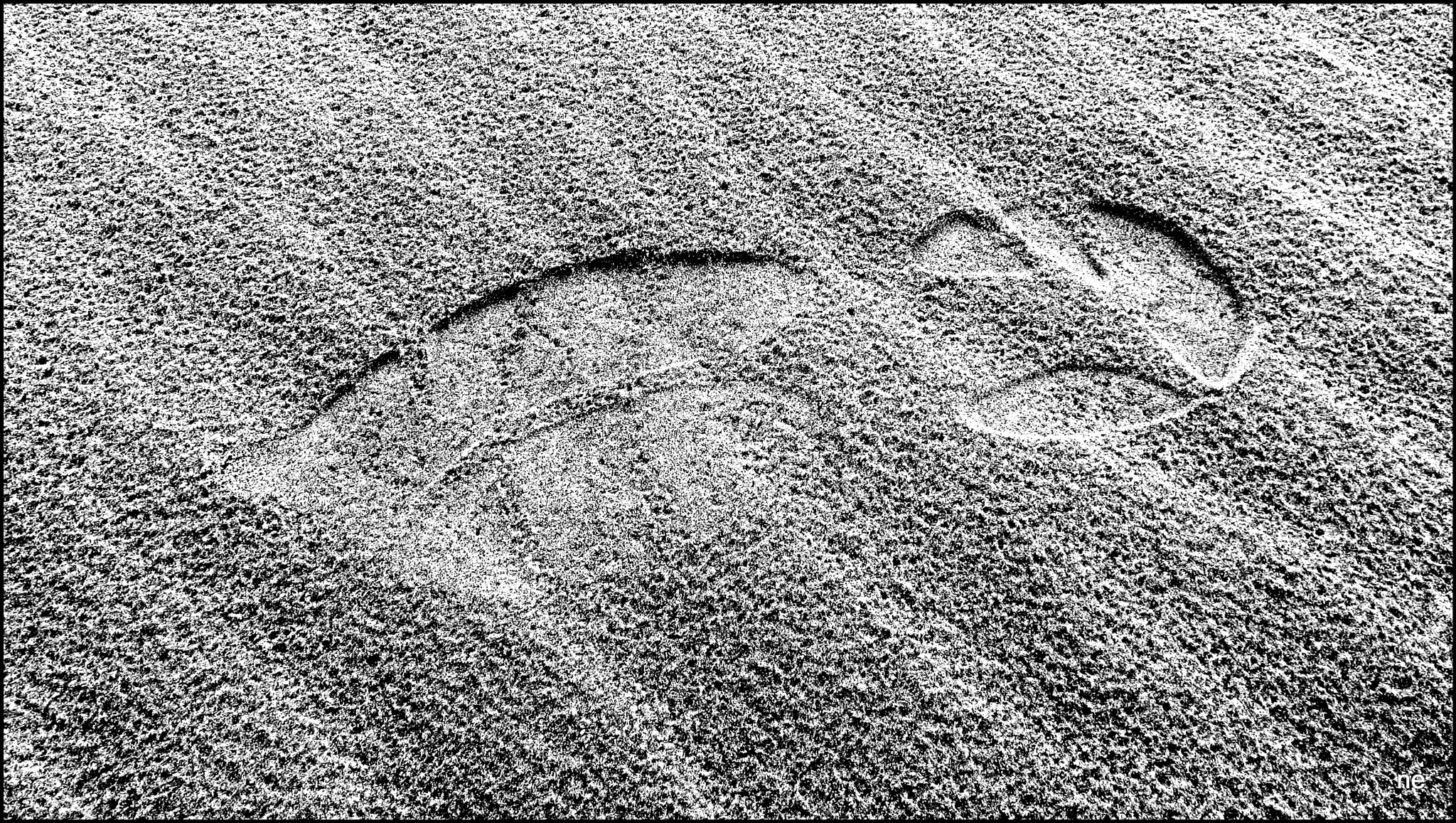 Canon PowerShot SX220 HS sample photo. Karl lagerfeld was on the beach photography