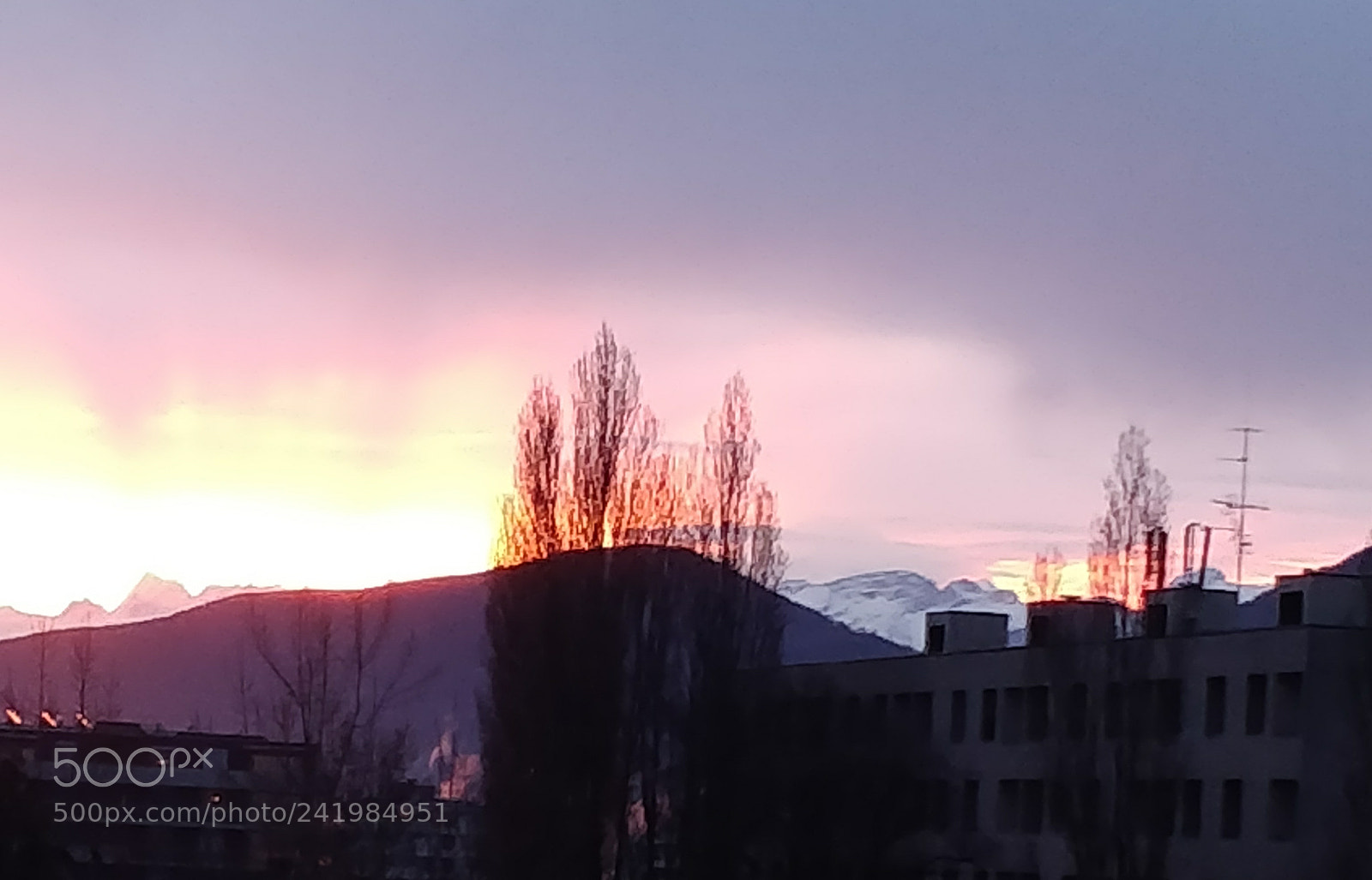 OnePlus 5T sample photo. Untitled photography