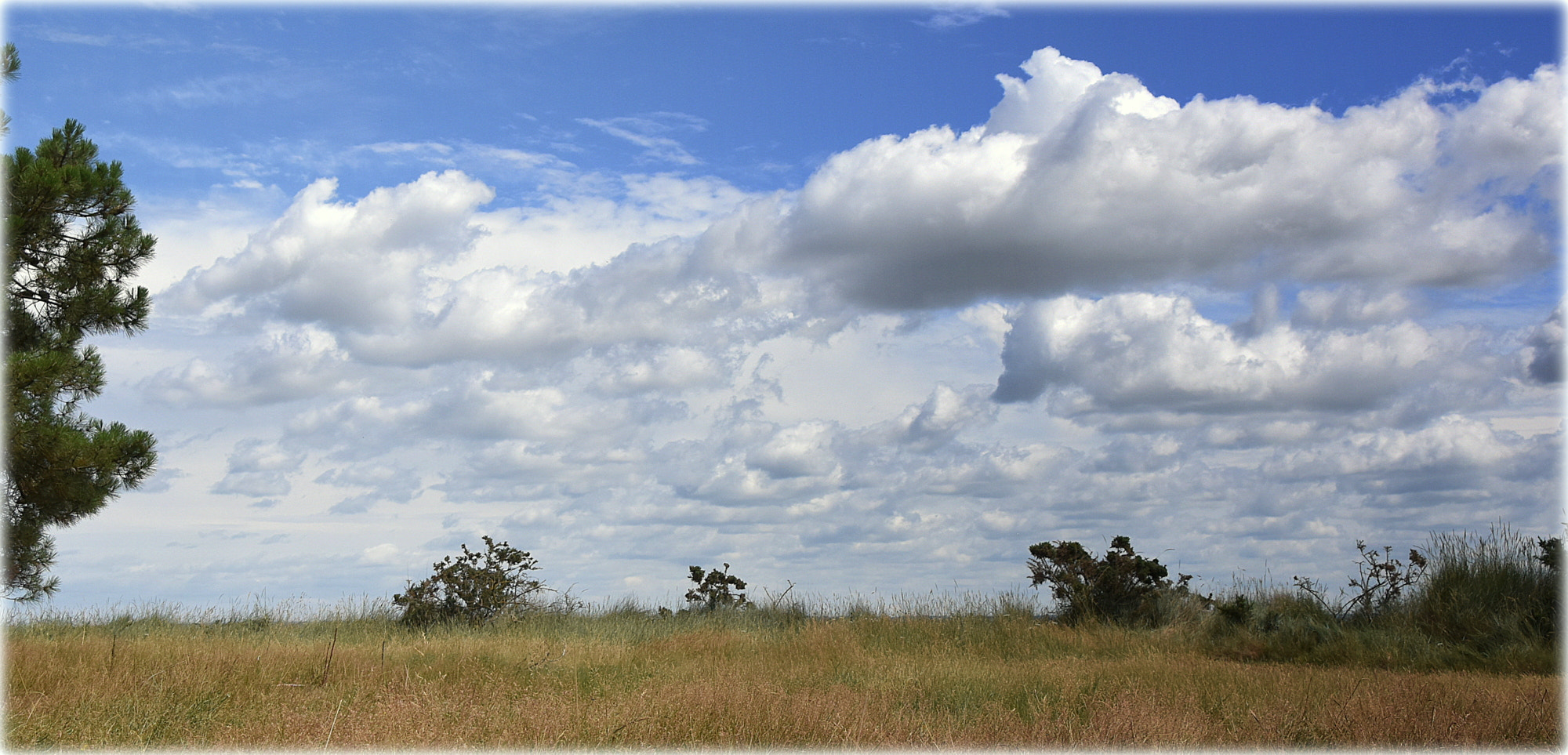 Nikon D810 sample photo. "landscape france" photography