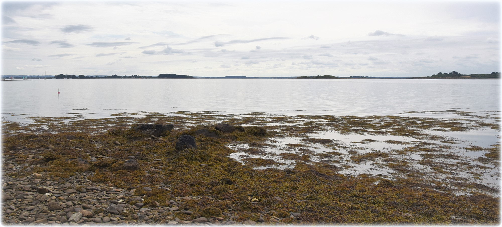 Nikon D810 sample photo. "dan la mer" photography