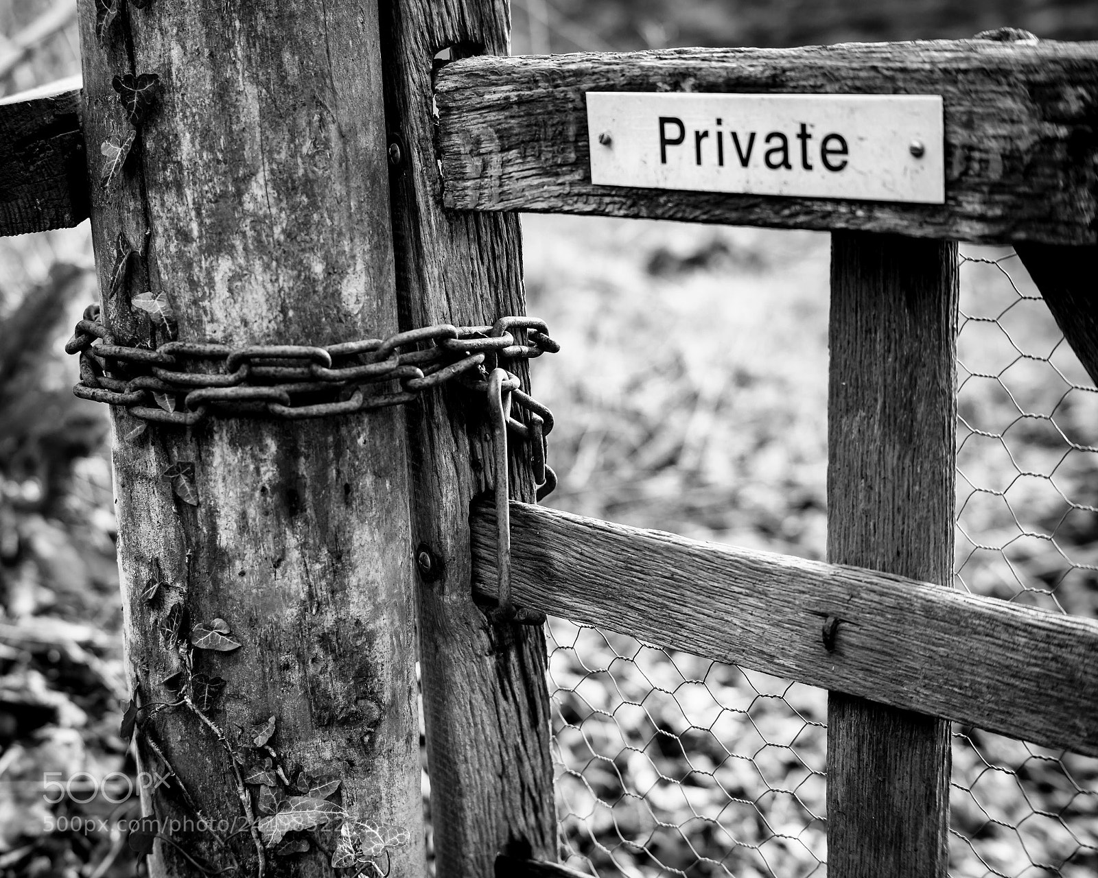Leica M (Typ 240) sample photo. Investigations photography