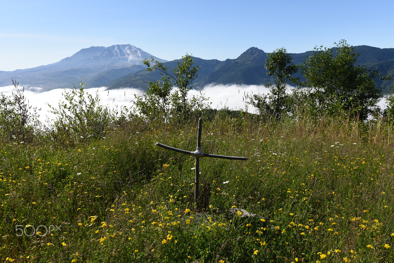 Nikon AF-S Nikkor 16-35mm F4G ED VR sample photo. Mount st helens memorial photography