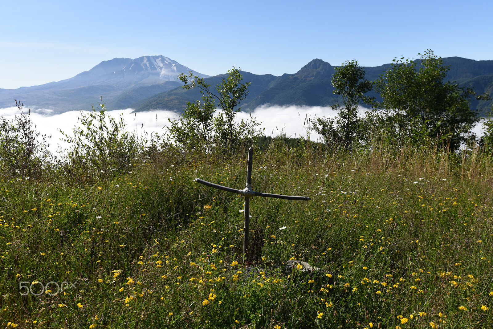 Nikon D750 + Nikon AF-S Nikkor 16-35mm F4G ED VR sample photo. Mount st helens memorial photography