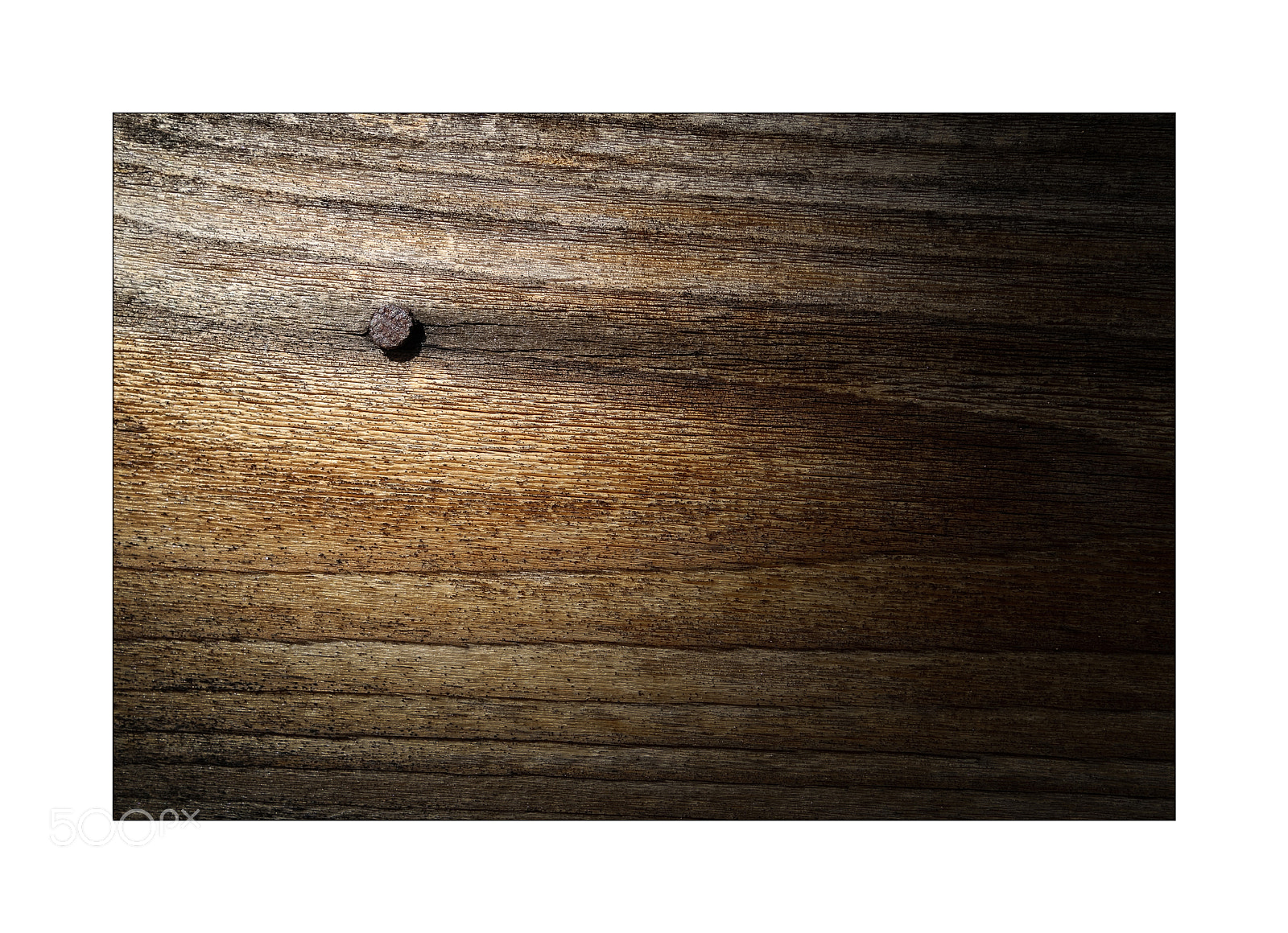 Sony Cyber-shot DSC-RX100 II sample photo. The nail photography